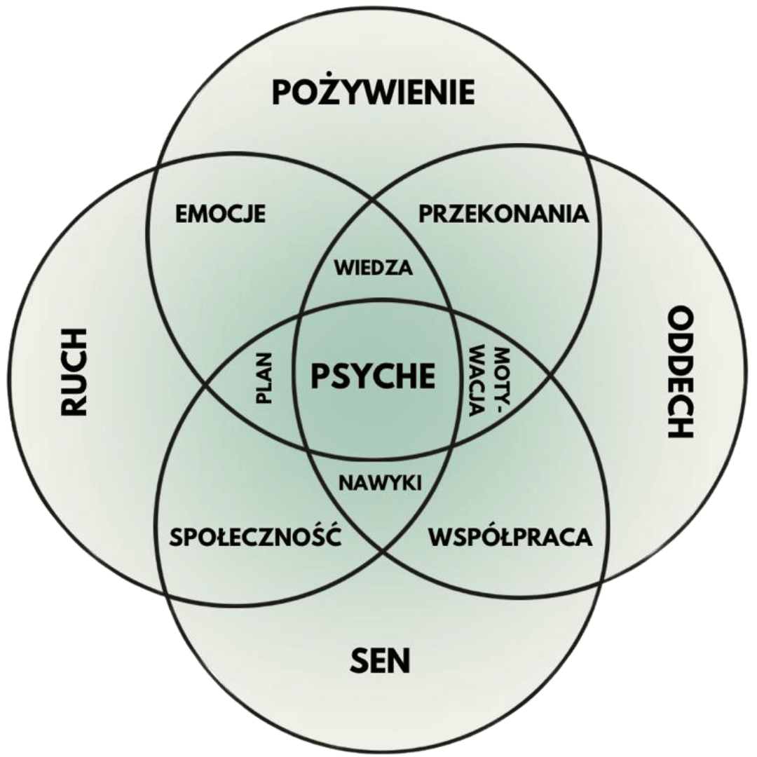 Holistic Health Model Holistic Health Model